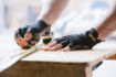 Scruffs-Trade-Fingerless-Workwear-Safety-Gloves-Black
